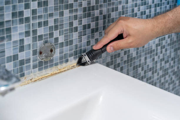 Best Emergency Mold Remediation in Merrick, NY